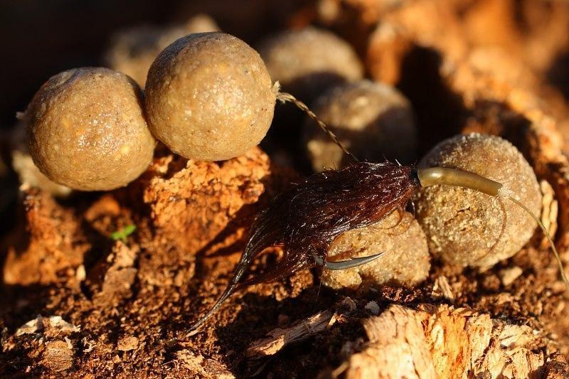 dip si boilies - 2531103858881348173941211950788n.jpg